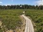 POHORJE, ROGLA - LOVRENŠKA JEZERA